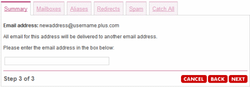 Enter the email address you want to redirect to.